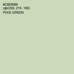 #CBDBB9 - Pixie Green Color Image
