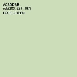 #CBDDBB - Pixie Green Color Image