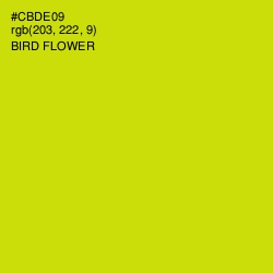 #CBDE09 - Bird Flower Color Image