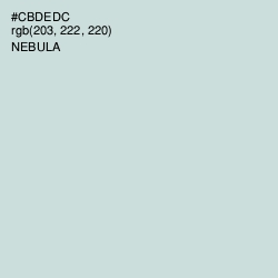 #CBDEDC - Nebula Color Image