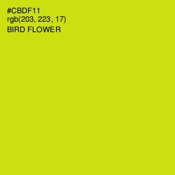 #CBDF11 - Bird Flower Color Image