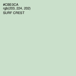 #CBE0CA - Surf Crest Color Image
