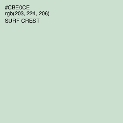 #CBE0CE - Surf Crest Color Image