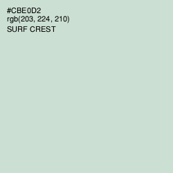 #CBE0D2 - Surf Crest Color Image