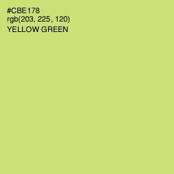 #CBE178 - Yellow Green Color Image