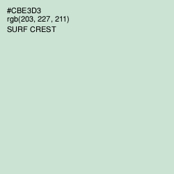 #CBE3D3 - Surf Crest Color Image