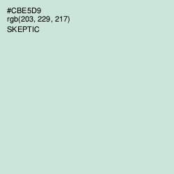 #CBE5D9 - Skeptic Color Image