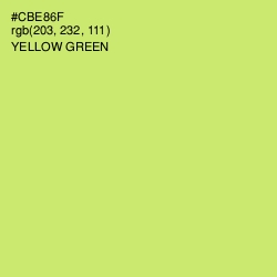 #CBE86F - Yellow Green Color Image