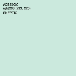 #CBE9DC - Skeptic Color Image