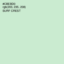 #CBEBD0 - Surf Crest Color Image