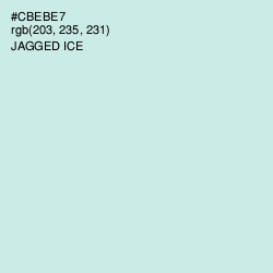 #CBEBE7 - Jagged Ice Color Image