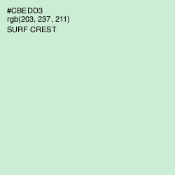 #CBEDD3 - Surf Crest Color Image