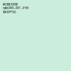 #CBEDDB - Skeptic Color Image