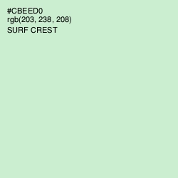 #CBEED0 - Surf Crest Color Image