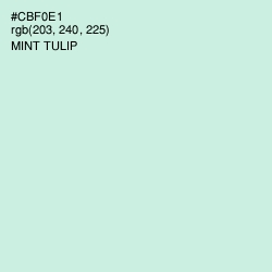 #CBF0E1 - Mint Tulip Color Image