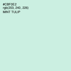 #CBF0E2 - Mint Tulip Color Image