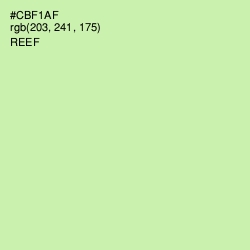 #CBF1AF - Reef Color Image
