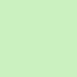 #CBF1C1 - Tea Green Color Image