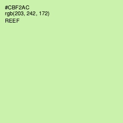 #CBF2AC - Reef Color Image
