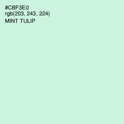 #CBF3E0 - Mint Tulip Color Image