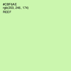 #CBF6AE - Reef Color Image