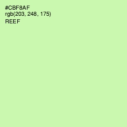 #CBF8AF - Reef Color Image