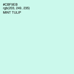 #CBF9EB - Mint Tulip Color Image