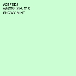 #CBFED3 - Snowy Mint Color Image