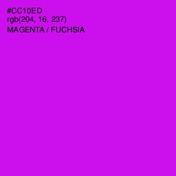 #CC10ED - Magenta / Fuchsia Color Image