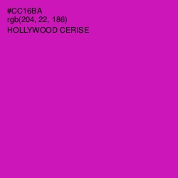 #CC16BA - Hollywood Cerise Color Image