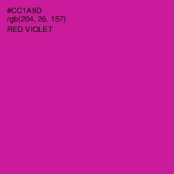 #CC1A9D - Red Violet Color Image