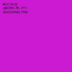 #CC1AD3 - Shocking Pink Color Image