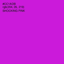 #CC1ADB - Shocking Pink Color Image