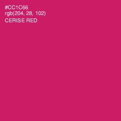 #CC1C66 - Cerise Red Color Image