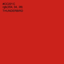 #CC221C - Thunderbird Color Image