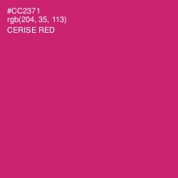 #CC2371 - Cerise Red Color Image