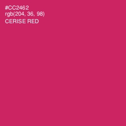 #CC2462 - Cerise Red Color Image