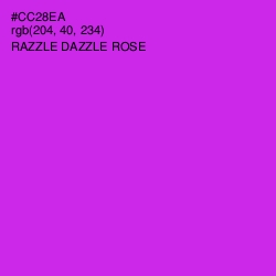 #CC28EA - Razzle Dazzle Rose Color Image