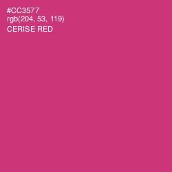 #CC3577 - Cerise Red Color Image