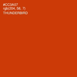 #CC3A07 - Thunderbird Color Image