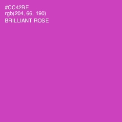 #CC42BE - Brilliant Rose Color Image