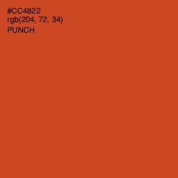 #CC4822 - Punch Color Image