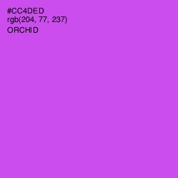 #CC4DED - Orchid Color Image