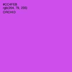#CC4FEB - Orchid Color Image