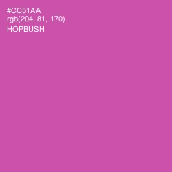 #CC51AA - Hopbush Color Image