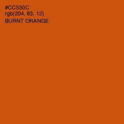 #CC530C - Burnt Orange Color Image