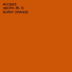 #CC5605 - Burnt Orange Color Image