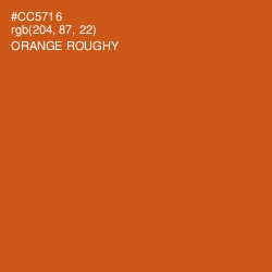 #CC5716 - Orange Roughy Color Image