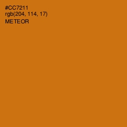 #CC7211 - Meteor Color Image