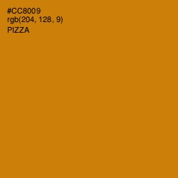 #CC8009 - Pizza Color Image